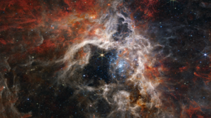 Stars Space Nebula Infrared James Webb Space Telescope NGC 2070 Tarantula Nebula 4666x2698 Wallpaper